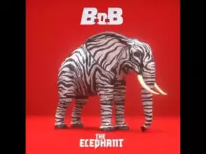 B.o.b – The Elephant